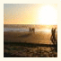 Greymouth Seaside TOP 10 Holiday Park