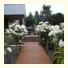 Amuri House