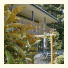 Hanmer View Bed & Breakfast And Holiday Apartments