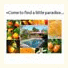Kerikeri Farm Hostel