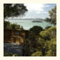 Bay of Islands Lodge: fotografie