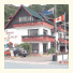 Swiss Chalet Lodge Motel: fotografie