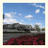 Aladdins Motel