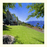 Evergreen Lodge: fotografie