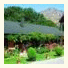 Ferry Bed and Breakfast: fotografie