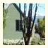 Templenoe Cottages: fotografie