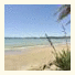 Whitianga Campground