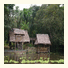 Amazon Muyuna Lodge