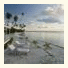Opoa Beach Hotel