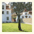 Quinta da Vila Francelina