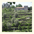 Quinta De Pais - Turismo Rural