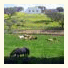 Herdade Ribeira de Borba