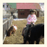 Pension House with Ponies