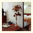 City Hotel Bucharest: fotografie