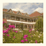Pension Padurea de Argint