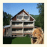 Red Dog Hotel: fotografie