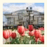 Sheremetev Park Hotel