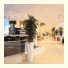 Sheraton Palace Hotel Moscow: fotografie