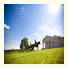 Imperial Belveder Palace