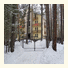 Hotel Povorot