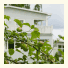 Hotel Frykenstrand