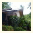 Aonang Green Park Bungalow: fotografie