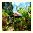 Chaweng Buri Resort & Spa: fotografie