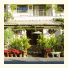 The Nest Chiangmai: fotografie