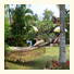 Homestay Chiangrai
