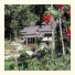 Angkhang Nature Resort