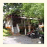 Buathong House & Resort: fotografie