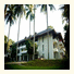 Coconut Beach Resort: fotografie