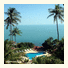 Hi Coral Cove Bungalow: fotografie