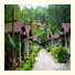 The Delight Pine Tree Village