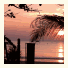 Lanta Island Resort: fotografie