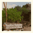 Lanta Nice Beach Resort: fotografie