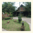 Lanta Pearl Beach Resort: fotografie