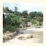 Moon Beach Resort: fotografie