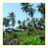 Royal Orchid Resort: fotografie