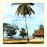 Sabaii Bay Resort: fotografie