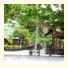 V-View Beach Resort: fotografie