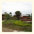 My Home @ Pai