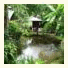 Rainbow House Pai: fotografie