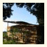 Sipsongpanna Resort