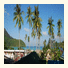 Phi Phi October Guesthouse: fotografie