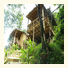The Banana P.P. Resort (formerly Snowwith Resort): fotografie