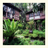 Fern Paradise Resort