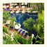 The Chava Resort