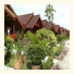 Orchid Home And Restaurant