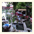 Arikanda Hotel: fotografie